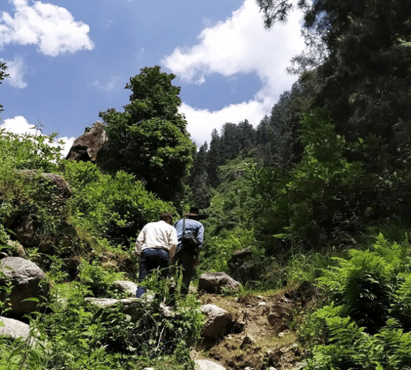 Lachipora Wildlife Sanctuary 