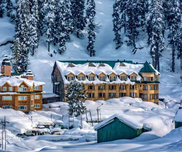 Winter Wonderland Kashmir Tour Packages in January 2024