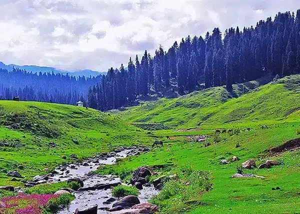 Kashmir Tour Packages