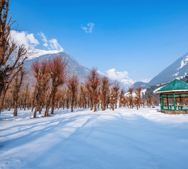 Kashmir tour packages in 2024