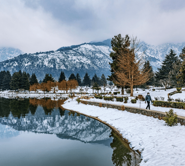 Kashmir tour packages in 2024