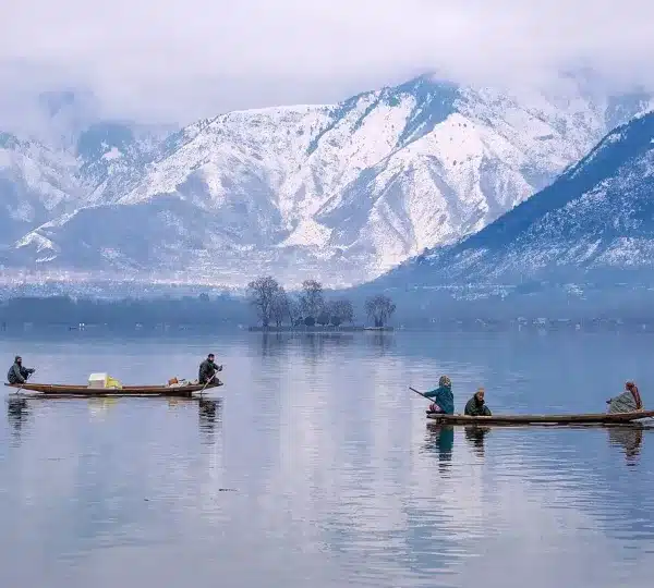 Kashmir Tour Packages in November 2024