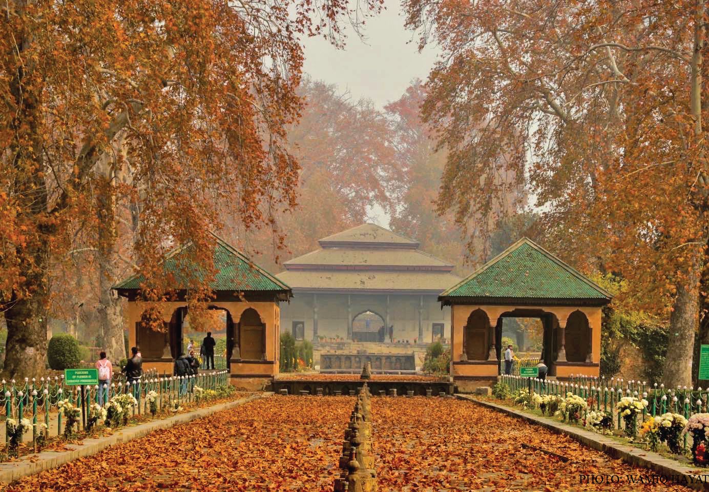 Kashmiri Gardens: Where Nature and Architecture Converge