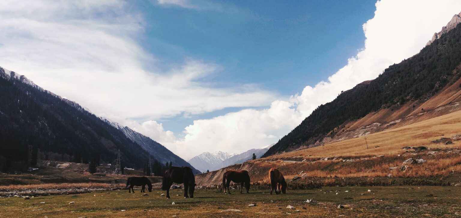 Discover the Beauty of Kashmir: A Complete Guide to Kashmir Tourism 