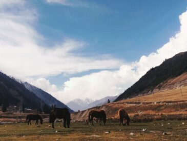 Sonamarg
