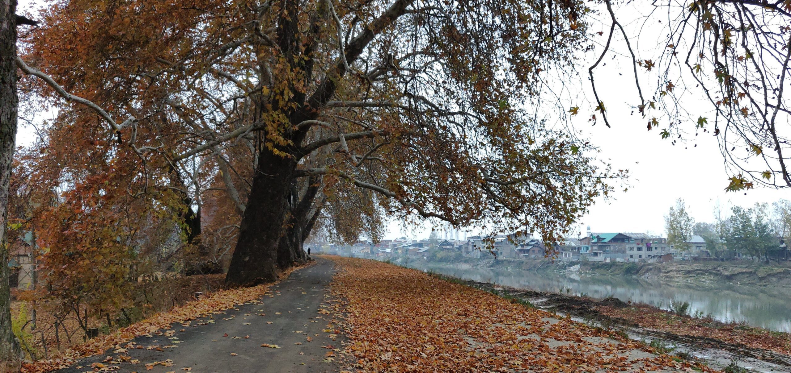 Kashmir valley farewell view — the breathtaking Kashmir landscape seen for the last time on departure day, the memories of which will stay with every traveler forever