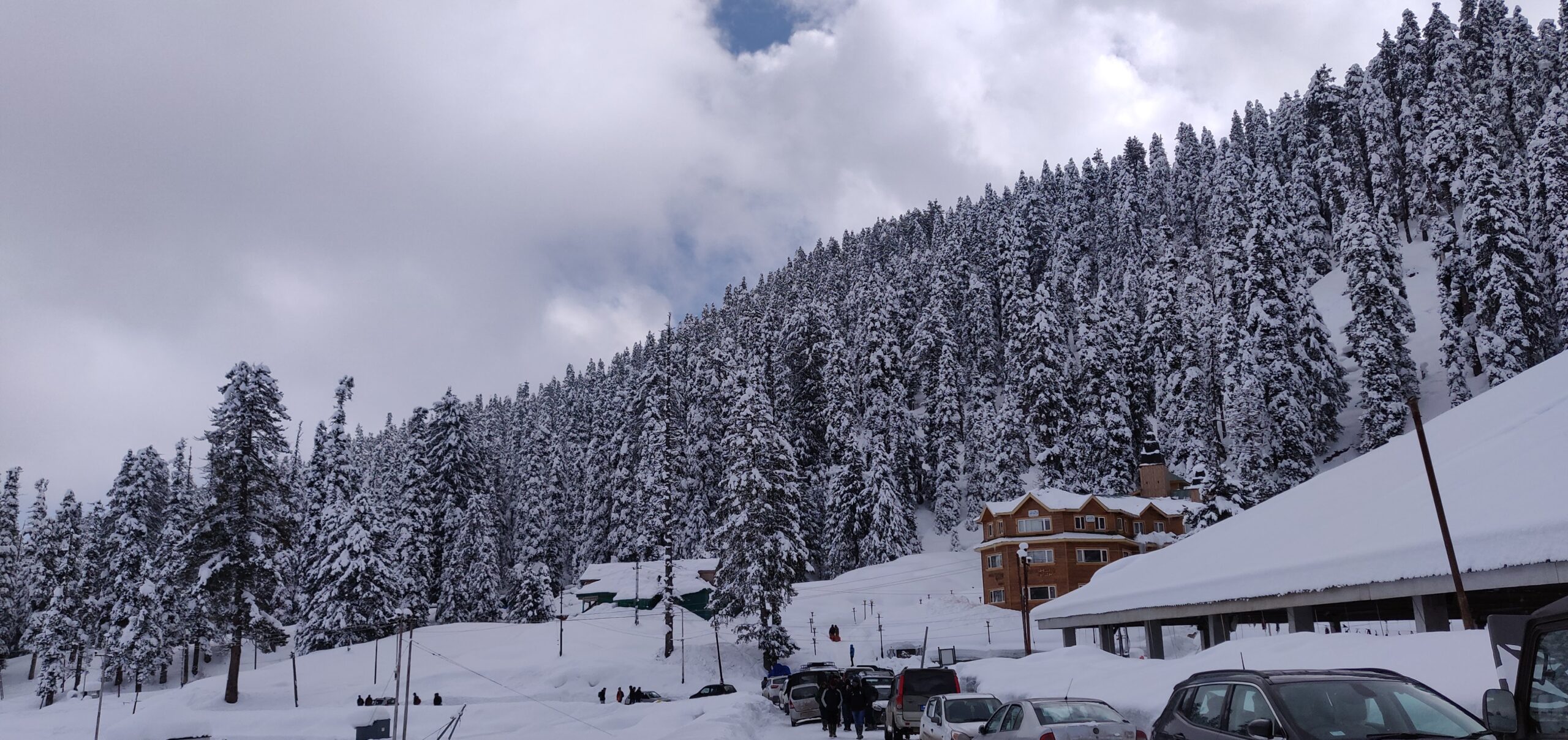 Gulmarg: The Meadow of Flowers