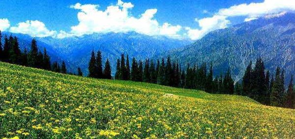 10 Things To Do In Yousmarg Kashmir - Kashmir Tickets, Tours & Packages