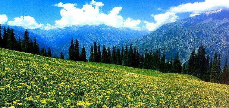 10 Things To Do In Yousmarg Kashmir