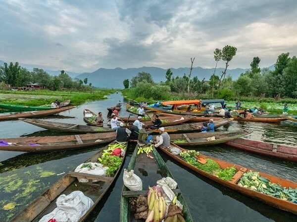 Floating vegetable and flower market with vendors on Shikara boats at dawn