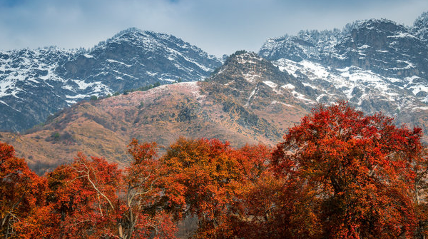 Zabarwan Range in the Heart of Kashmir