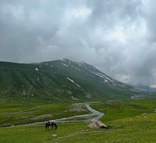 Aru Valley Pahalgam Kashmir — the peaceful mountain valley 13 km from Pahalgam with green alpine meadows, snow-capped peaks and the gateway to famous Himalayan treks including Tarsar Marsar and Kolhai Glacier