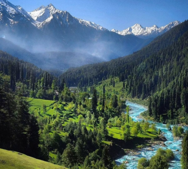 Betaab Valley Pahalgam Kashmir — the cinematic valley 7 km from Pahalgam made famous by the Bollywood film Betaab, with weeping willows, the Lidder River and snow-capped mountain backdrop
