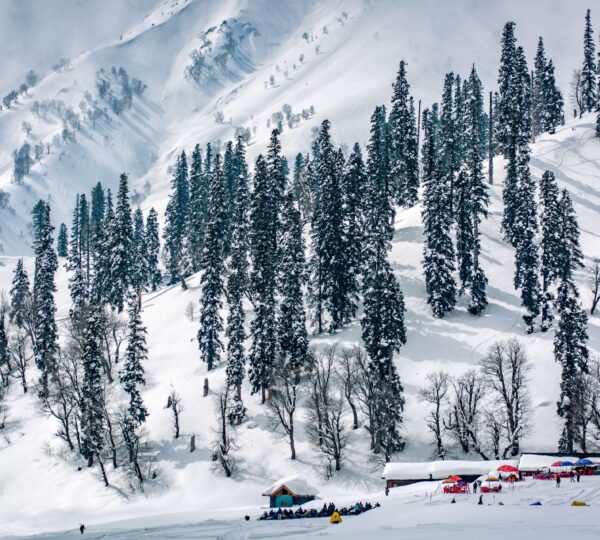 Gulmarg Kashmir December skiing slopes with fresh powder snow gondola cable car and snow covered pine trees