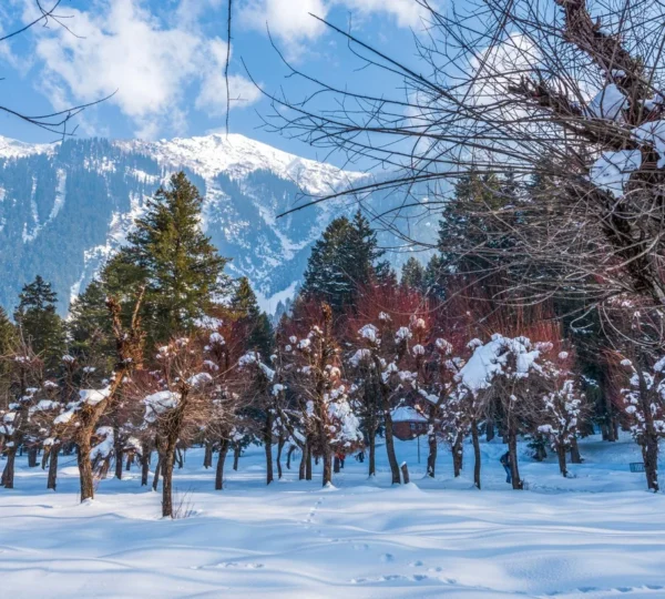 Betaab Valley Pahalgam Kashmir in November with snow dusted mountain peaks pine forests and lush green meadows