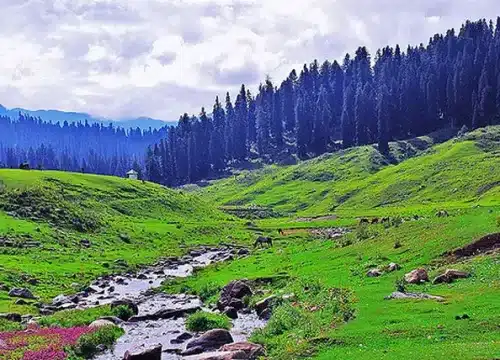 Kashmir Tour Packages