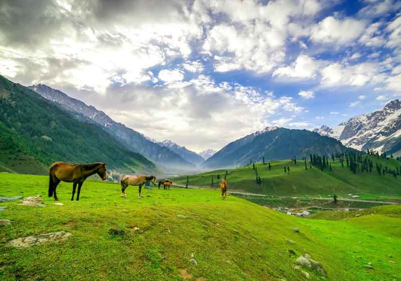 Kashmir Tour Packages in August - Kashmir Tickets, Tours & Packages