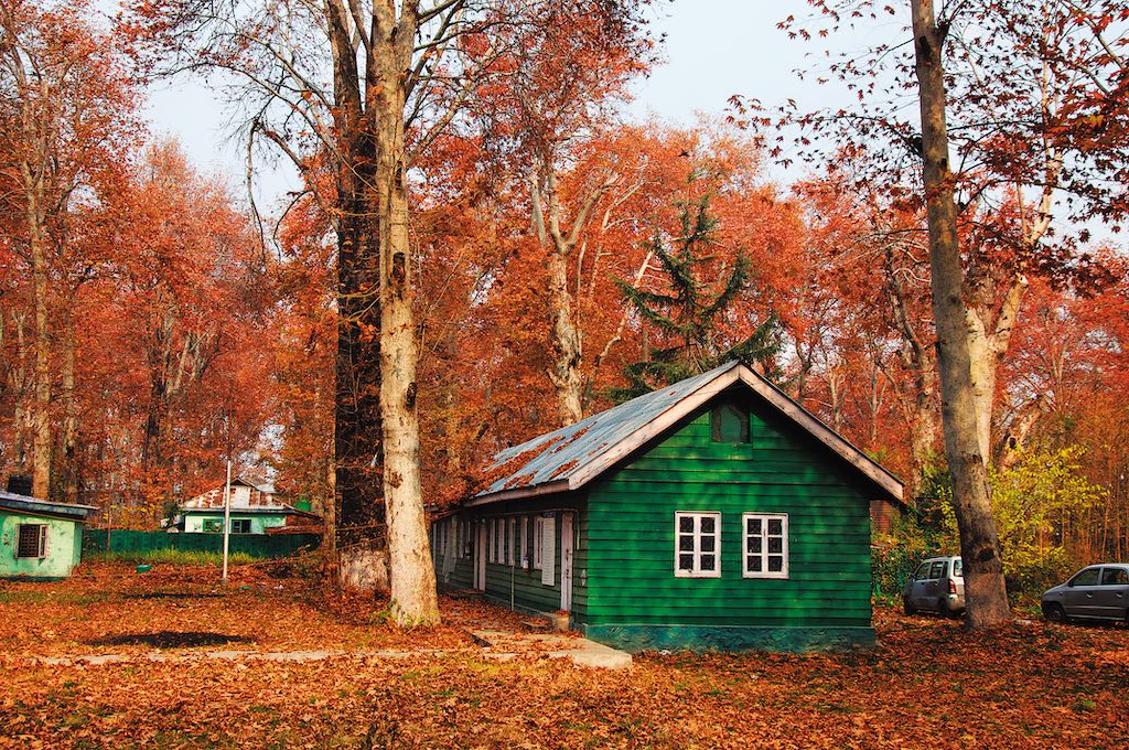 Kashmir in October