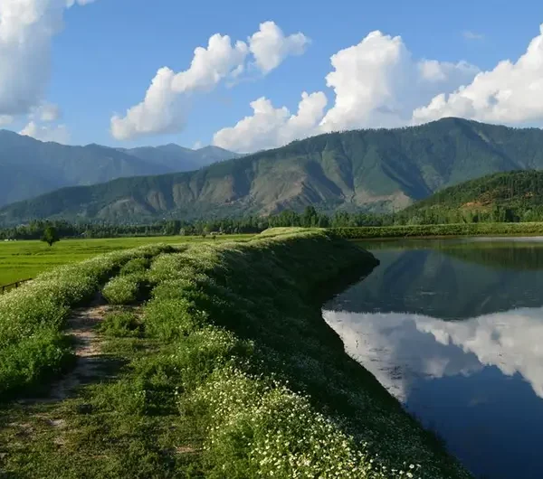 Lolab Valley Kashmir lush green forest meadows and deep wooded valleys in Kupwara district North Kashmir