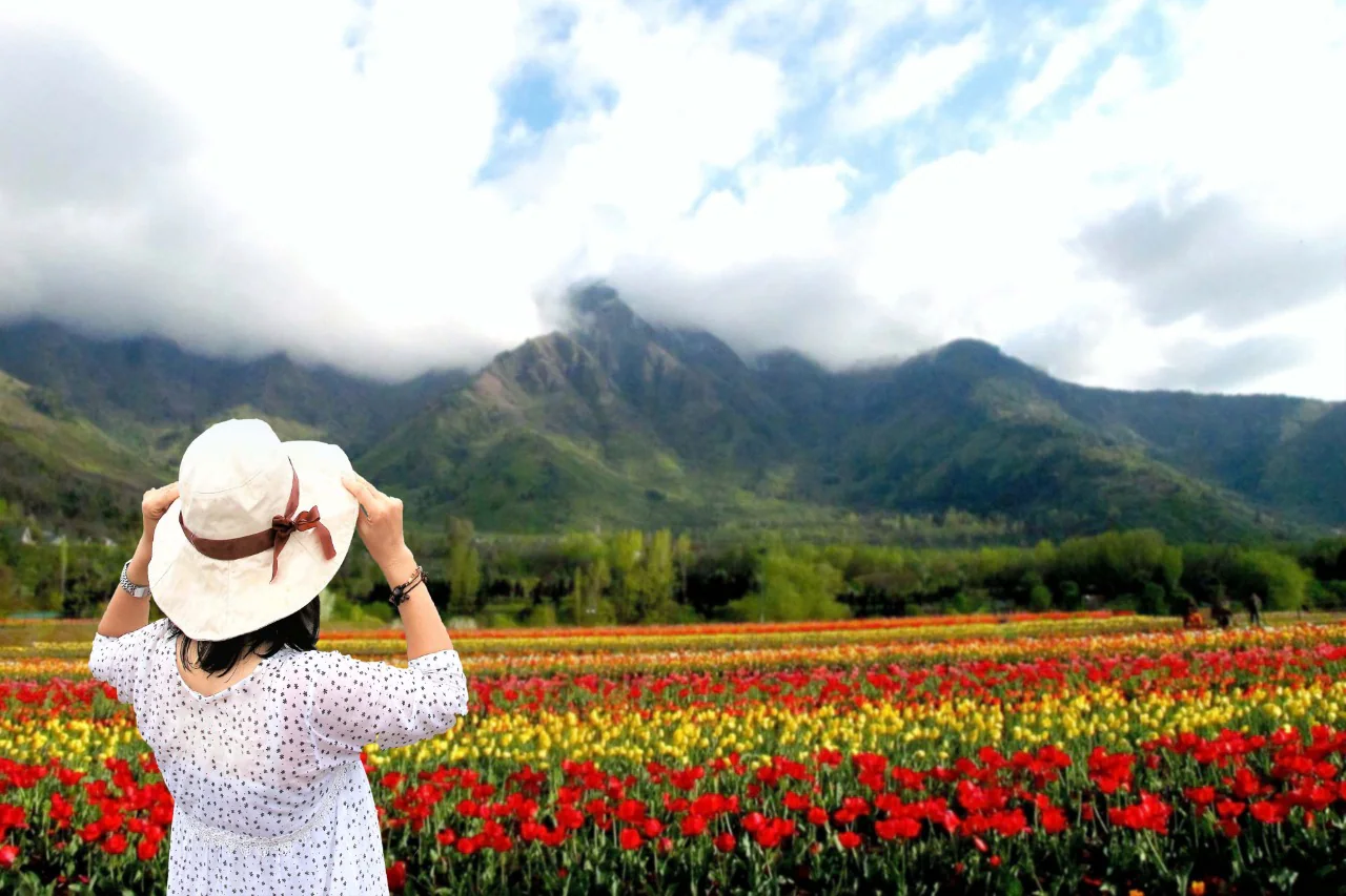 Tulip Garden