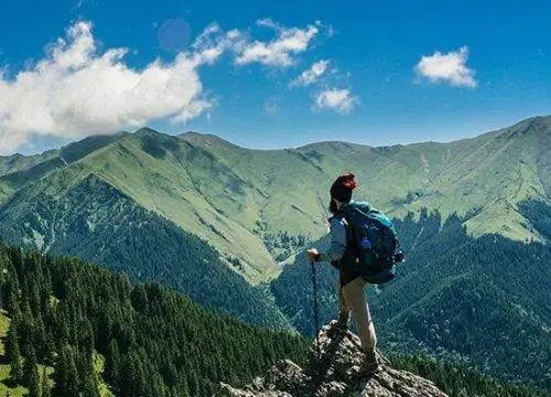 Trekking Amidst the Great Himalayas