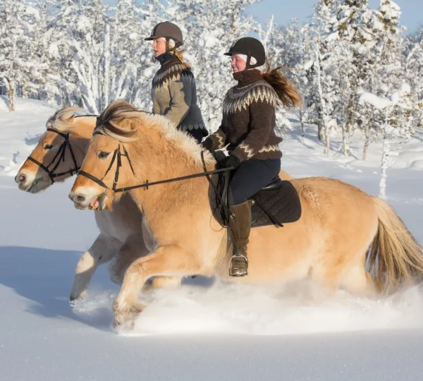 Horse Riding
