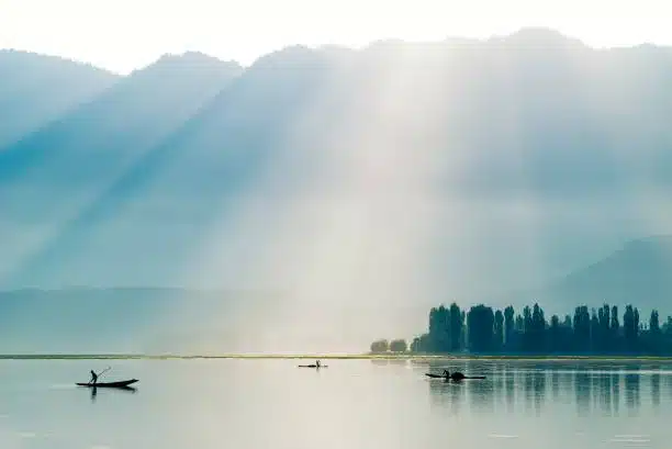 Shikara Rides