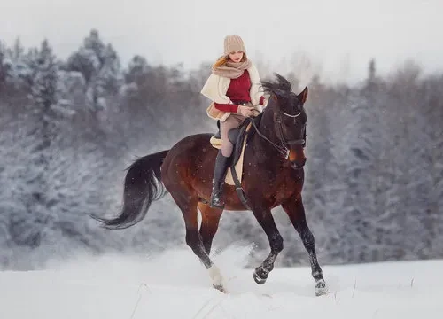 Horse-Riding