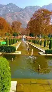 Photography in Gardens