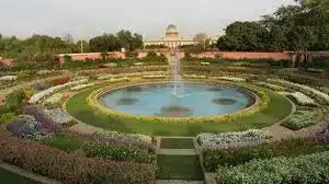 Picnic in Gardens