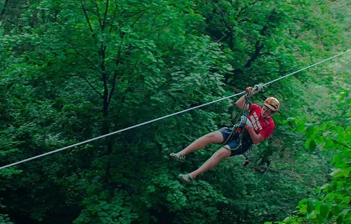 Zipline