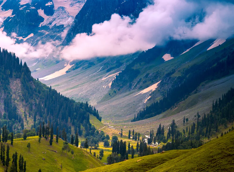 Summer in Kashmir