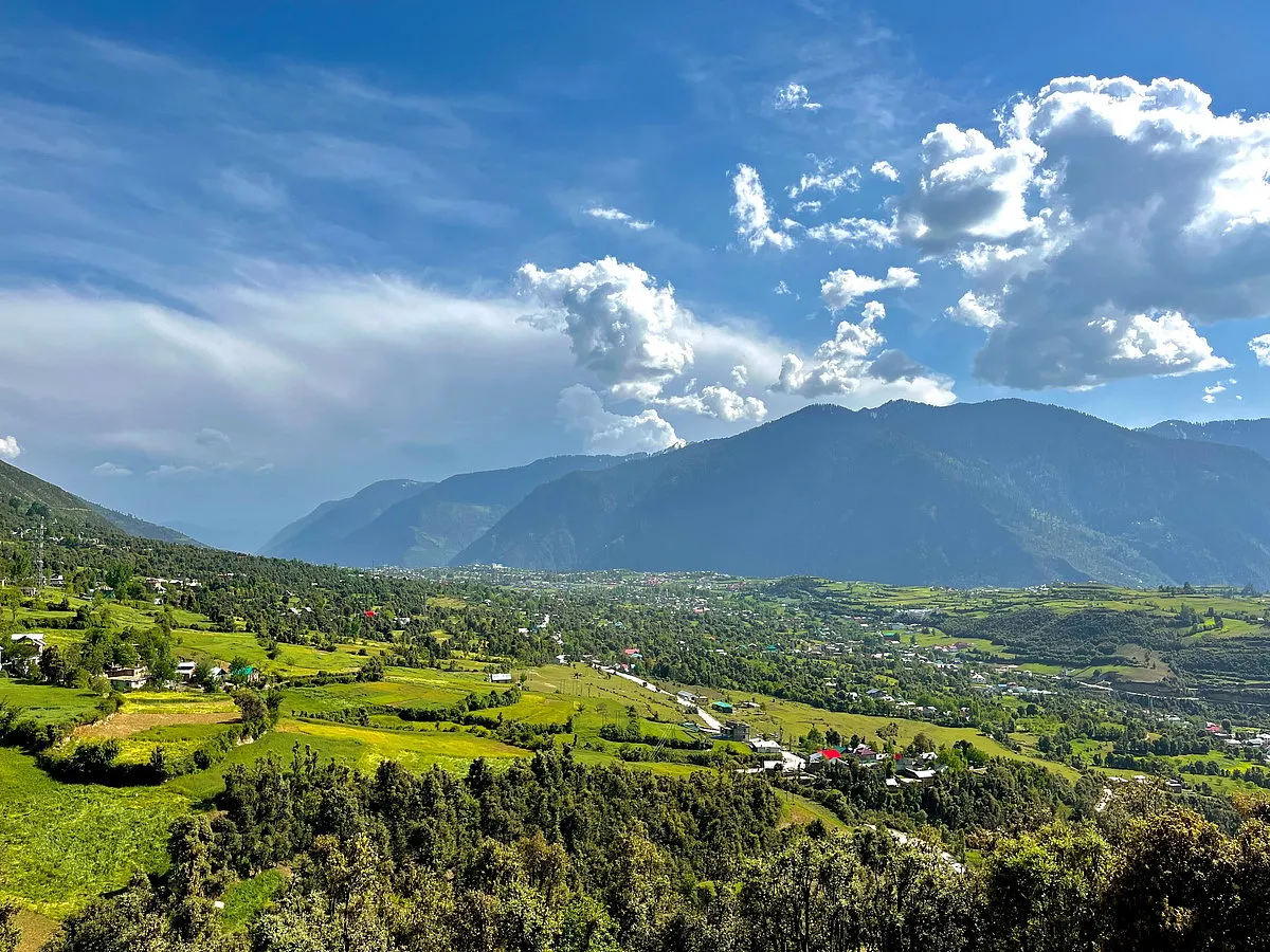 Lush green landscapes in August