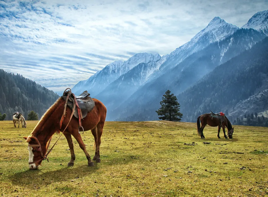Pahalgam