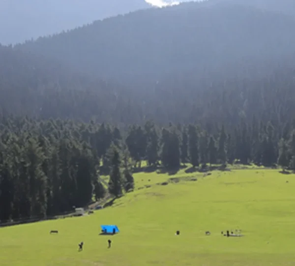 Baisaran Valley Pahalgam