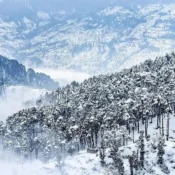 Kashmir Flight Deals in December