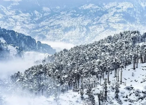 Kashmir Flight Deals in December