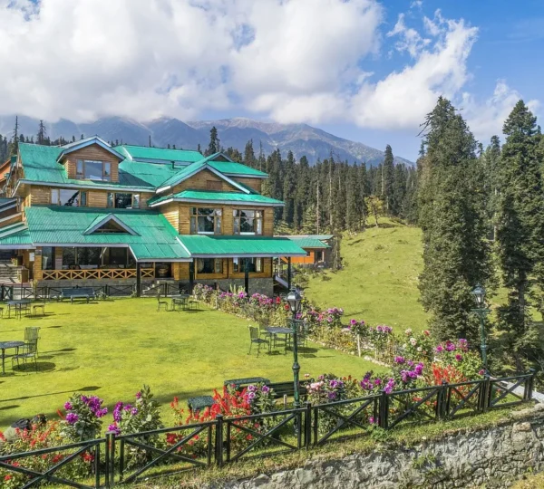 Gulmarg Kashmir aerial view of green meadows and snow capped mountains in summer season perfect for sightseeing