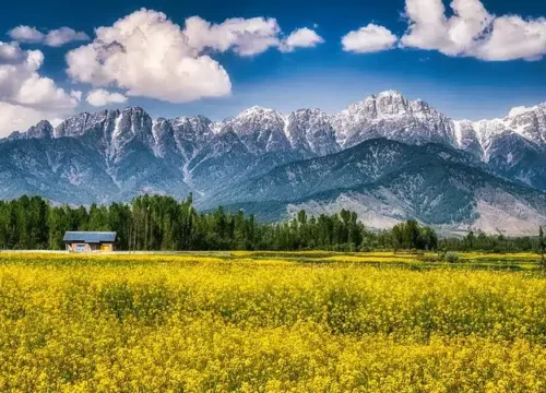 12 Tourist Destinations in J&K Reopen After Post-Pahalgam Curbs